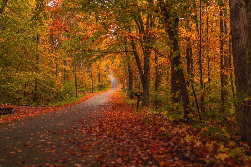 October Marketing Trends Your Business Should Consider